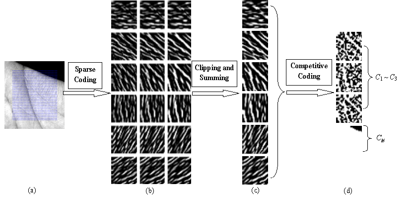The Multiscale Competitive Code via Sparse Representation for Palmprint ...